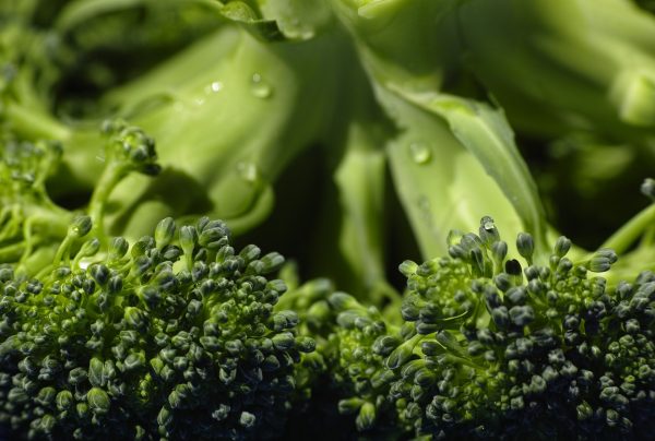 broccoli-1792236_1920