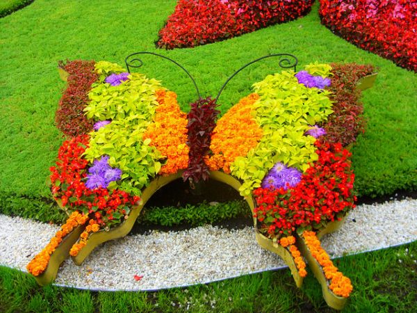 Клумба в форме бабочки