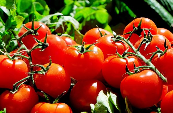 tomatoes-1280859_1280-1