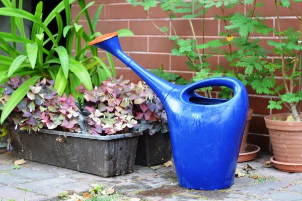 watering-can-887714_1920