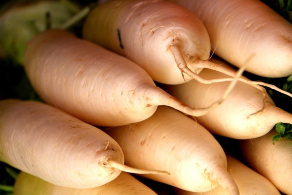 white-carrots-1774749_1920