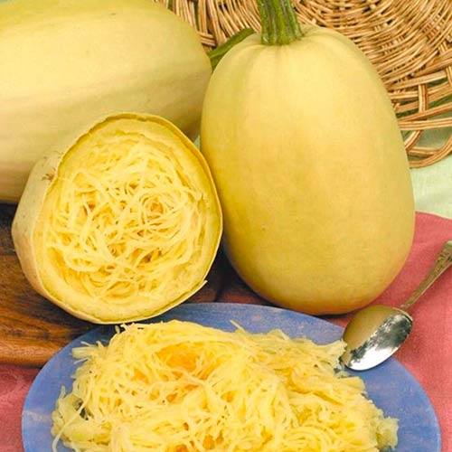 kabachok-spagetti