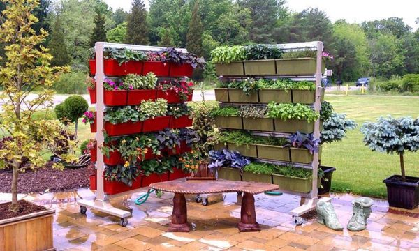 Идеи для контейнерных садов и огородов 