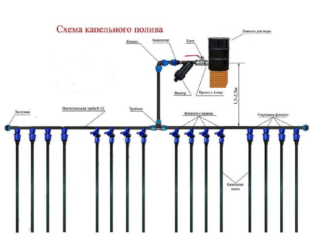 Создаем систему капельного полива из пластиковой бочки своими руками!