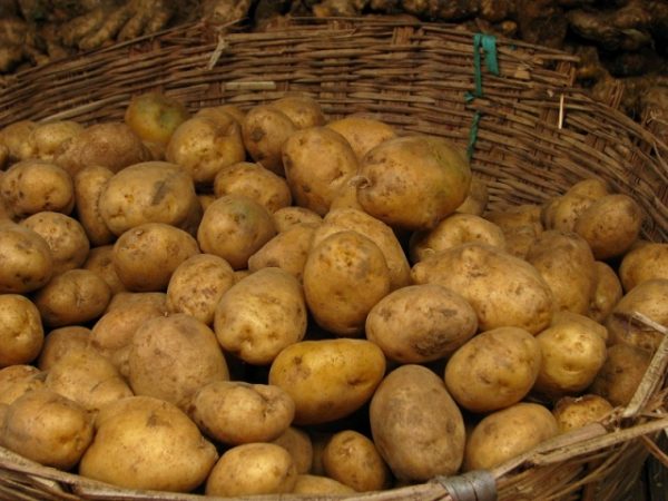 Potatoes5