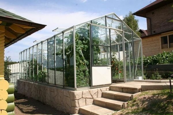 greenhouse6