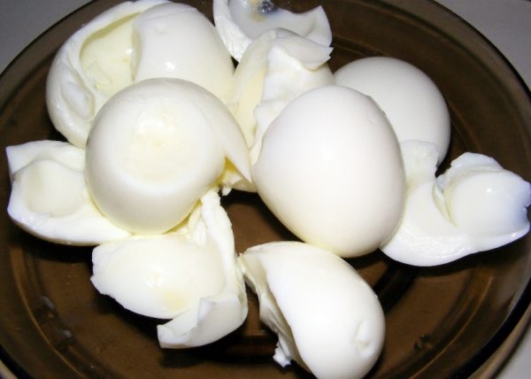 egg5-1