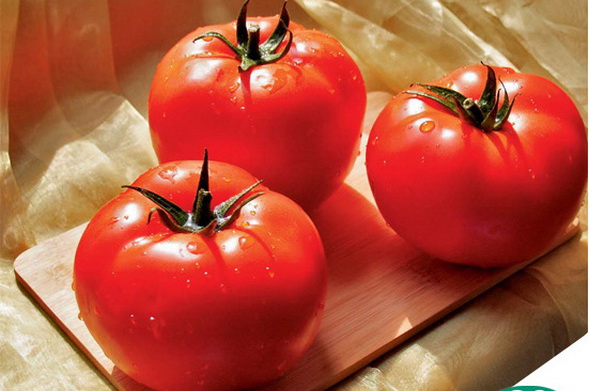 tomato10