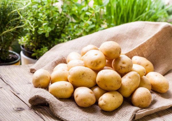 Как собрать два урожая картошки за сезон – правильный уход, подготовка семенного картофеля, удобрения